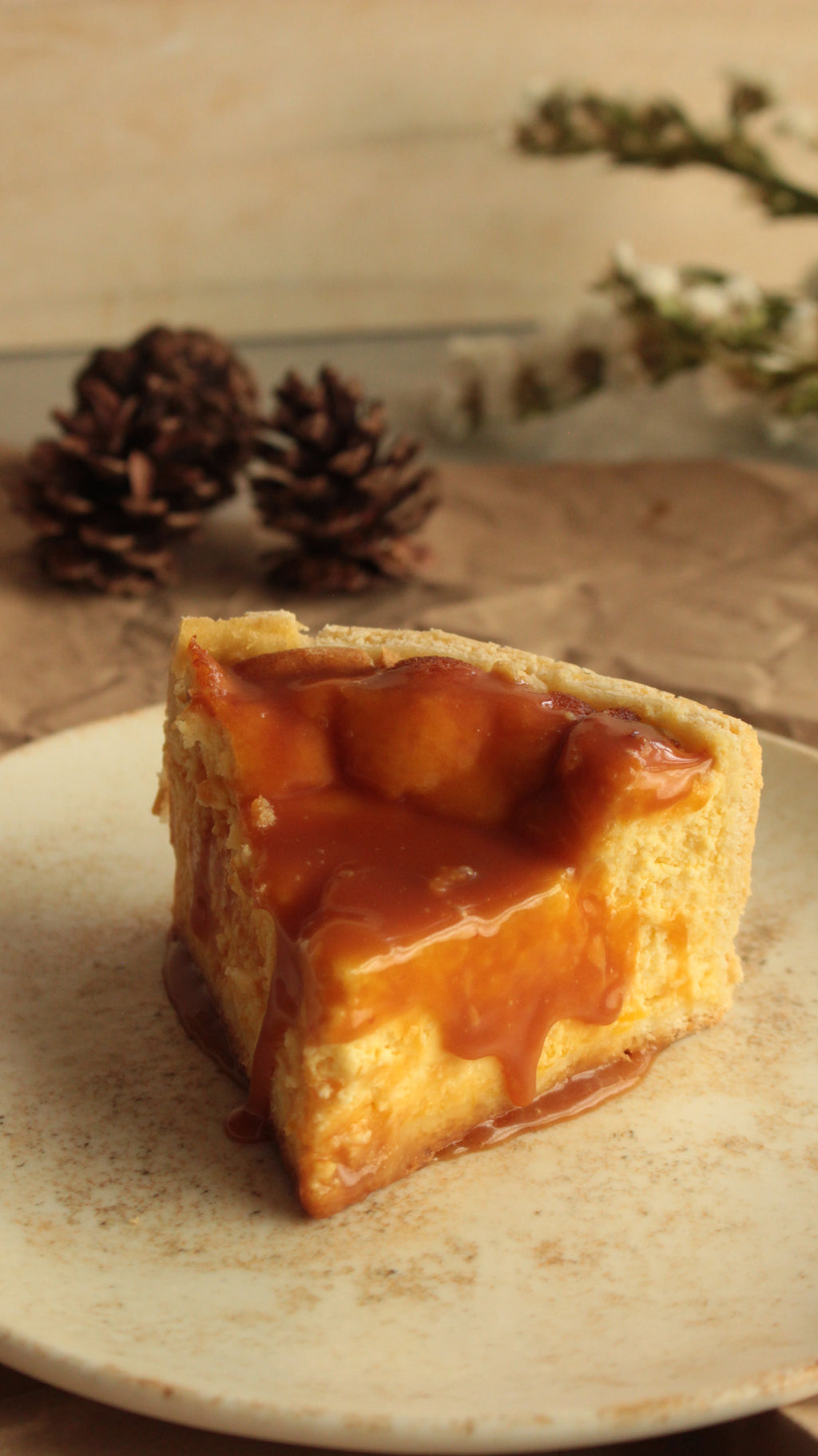 Pumpkin Cheesecake