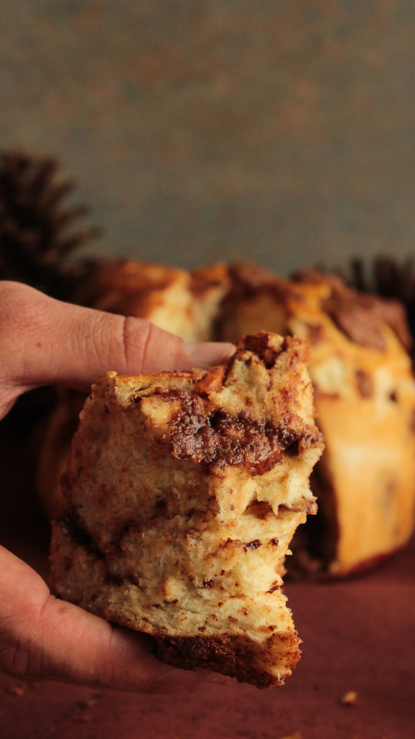 Panetton de chocolate